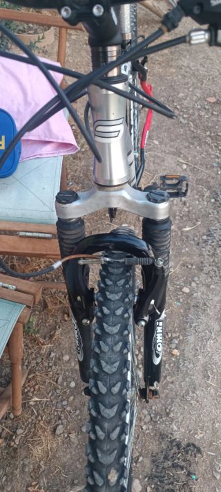 Bicicleta de Montaña