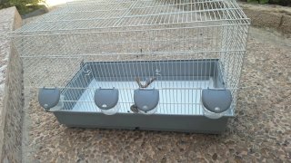 Jaula para pájaro, conejo, cobaya, hamter...