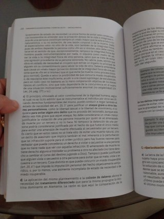 Fundamentos de derecho penal y teoría del delito