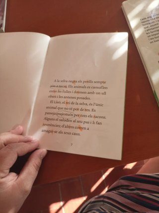 El dia que el lleó es va enamorar de la gasela