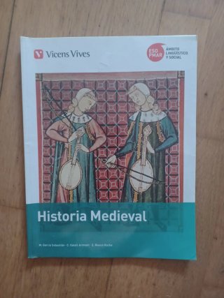 Historia medieval