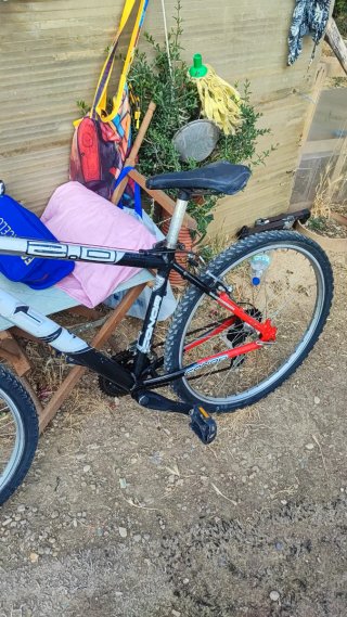 Bicicleta de Montaña