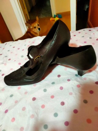 Zapatos marrones,con tacón estilo Mery Jane.