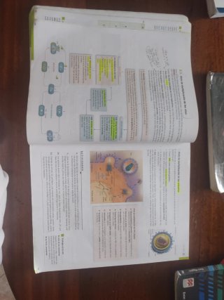 Biología, Geología y Ciencias Ambientales 1o Ba...