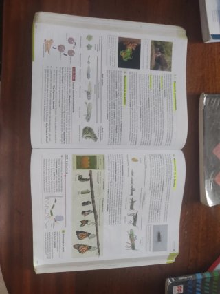 Biología, Geología y Ciencias Ambientales 1o Ba...