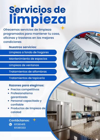 Limpieza a Domicilio
