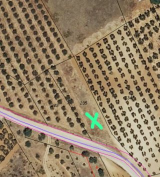 Venta de 2  parcelas  al lado de la dehesa