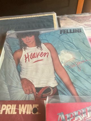 Lote 3 Vinilos April Wine y suzanne fellino