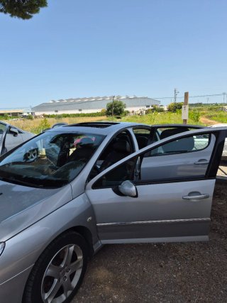 Peugeot 407 2008