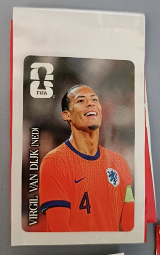 Ara Cromo Panini Virgil Van Dijk (NED) FIFA