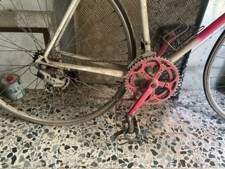 Bicicleta GAC FASSER Vintage