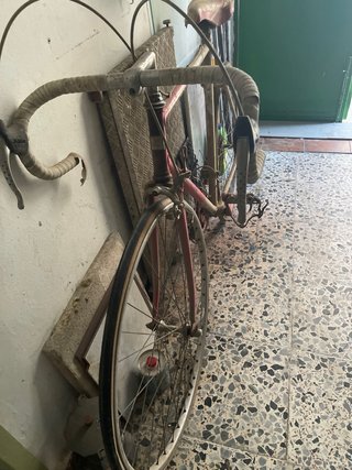 Bicicleta GAC FASSER Vintage