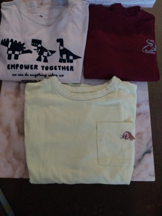 Lote 3 Camisetas Dinosaurio Talla 8/10