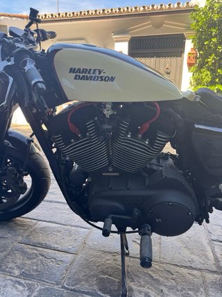 Harley-Davidson Cruiser Negra y Beige