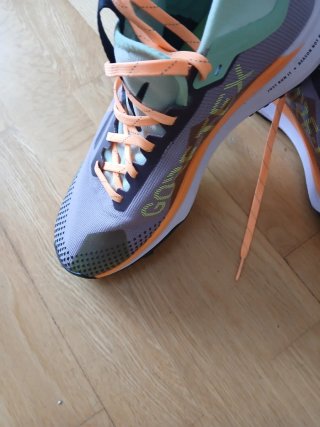 Zapatillas Nike React Pegasus Trail Gore-Tex