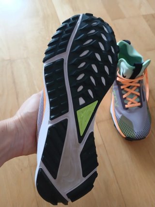 Zapatillas Nike React Pegasus Trail Gore-Tex