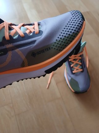 Zapatillas Nike React Pegasus Trail Gore-Tex