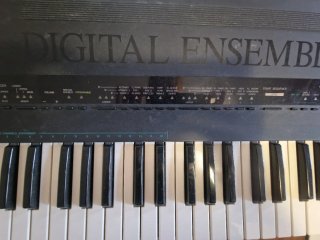 Sintetizador Farfisa Digital Ensemble Profesional
