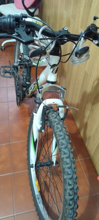 Bicicleta Avigo Montaña