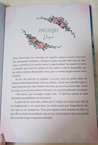Novela «El creador de seres estacionales»