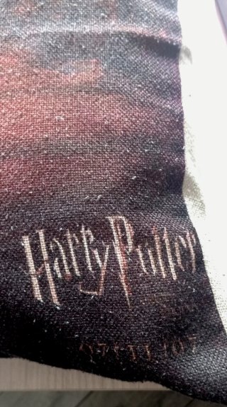 Cuscino Hermione Harry Potter