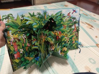 LIBROS-POP-UP LA SELVA