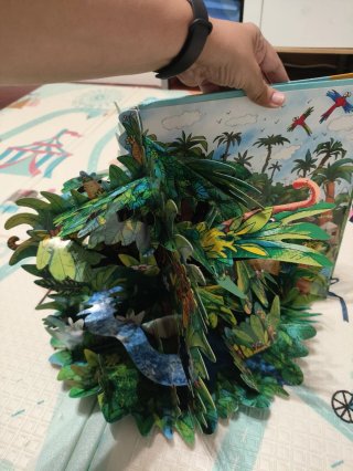 LIBROS-POP-UP LA SELVA