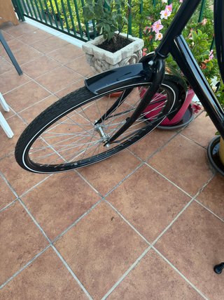 Bicicleta Urbana Avalon Oma Export 28''