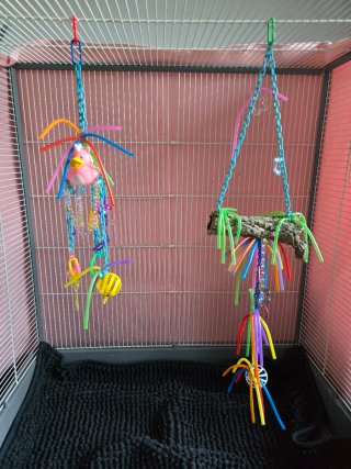 Juguetes para jaula de petauro