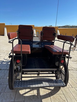 Carro Maratón Cardenas