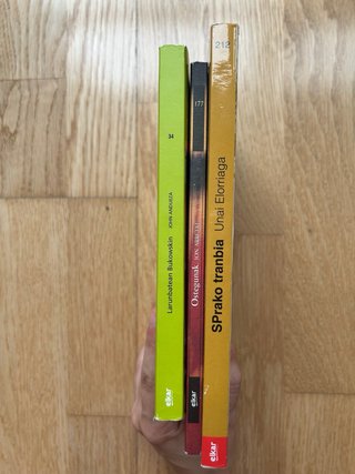 Lote de libros en euskera