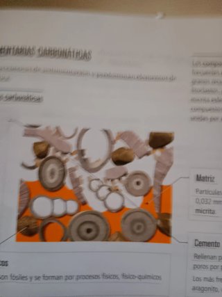 Biología y Ciencias Ambientales 2, Bachillerato...