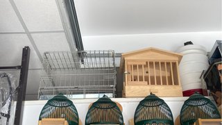 Jaulas para pájaros (varias)