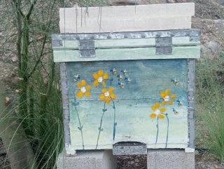 Colmena Langstroth Decorada a Mano
