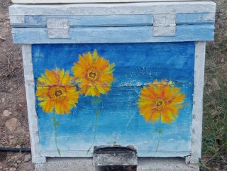 Colmena Langstroth Decorada a Mano