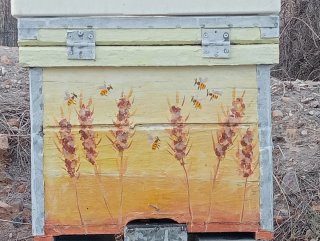 Colmena Langstroth Decorada a Mano