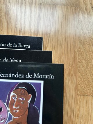 Lote de libros clásicos