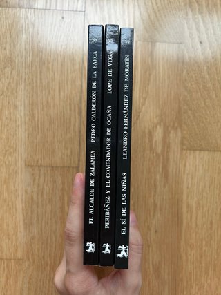 Lote de libros clásicos