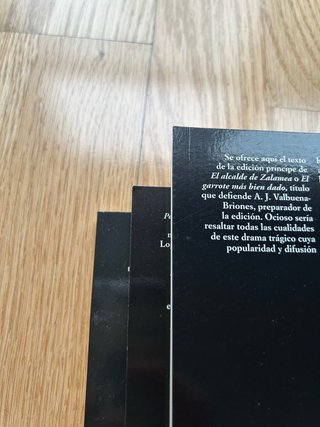 Lote de libros clásicos