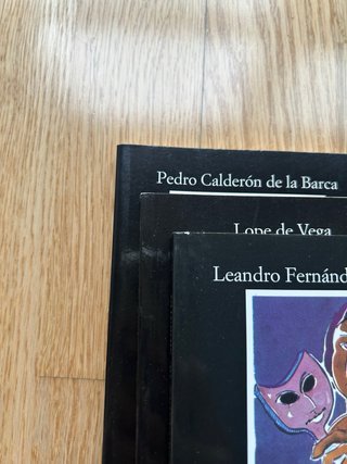 Lote de libros clásicos