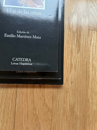 Lote de libros clásicos