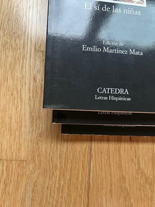 Lote de libros clásicos