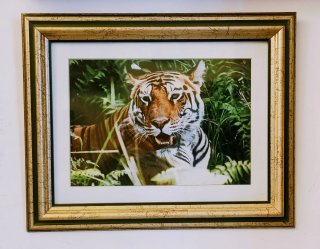 Cuadro Tigre con Marco Dorado y Verde