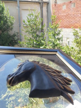 Cuadro de caballo