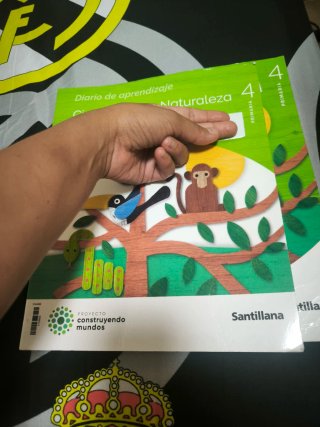 Ciencias de la Naturaleza, 4 Primaria, Proyecto...