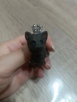 Perro Barbie Birthstone December
