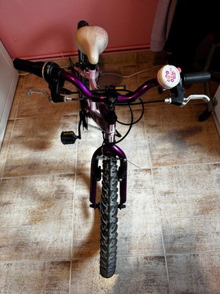 Bicicleta infantil morada 20