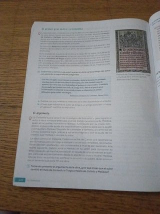 Lengua castellana y literatura