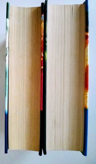 Libros Harry Potter 6 y 7