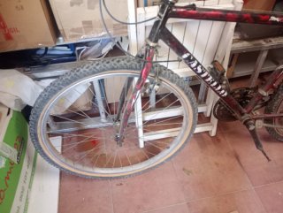Bicicleta de Montaña Castell Pirineu